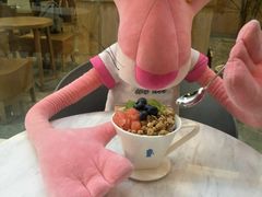 -Blueglass酸奶(财富购物中心店)