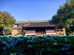-范蠡湖公园