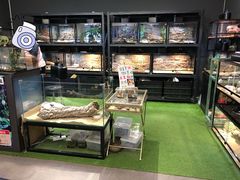 -FAIRYLAND龙族星球主题餐厅(凯丹广场店)