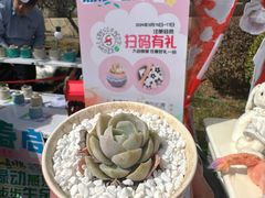-燕莎友谊商城(亮马桥店)