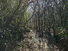 -南北湖风景区