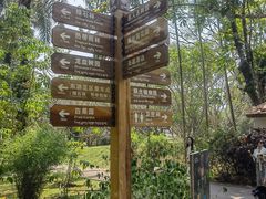-中国科学院西双版纳热带植物园