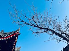 -西安市广仁寺
