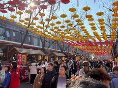 -大明幻境第一城