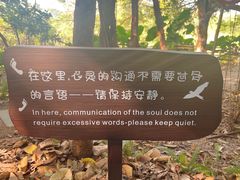 -华侨城湿地公园