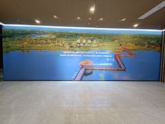 -溱湖国家湿地公园