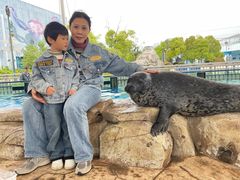 -芜湖新华联大白鲸海洋公园