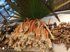 -厦门海沧正元希尔顿逸林酒店開全日餐厅