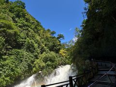 -小七孔景区东门售票处