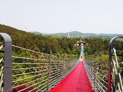 景点-南京银杏湖乐园