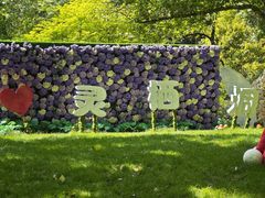 -灵栖洞天
