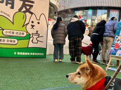 -瑞虹新天地月亮湾