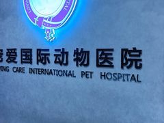 -宠爱国际动物医院·疑难骨科·心肾内科·皮肤科(太阳宫店)