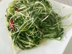 水晶菜-仙客石锅牛肉