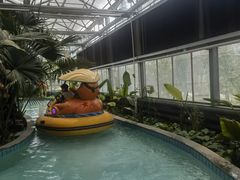 -南宫五洲植物乐园