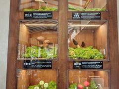 -菌自由丨野生菌火锅特色庭院餐厅(丽江古城店)