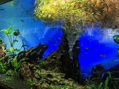 -太平洋海底世界