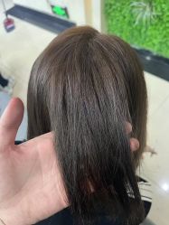 -藤野造型