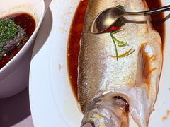 -醉庐·新上海菜(南京西路店)