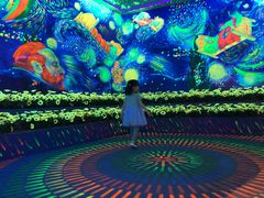 -天津梵高星空艺术馆(天河城旗舰店)