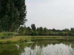 -东郊湿地公园