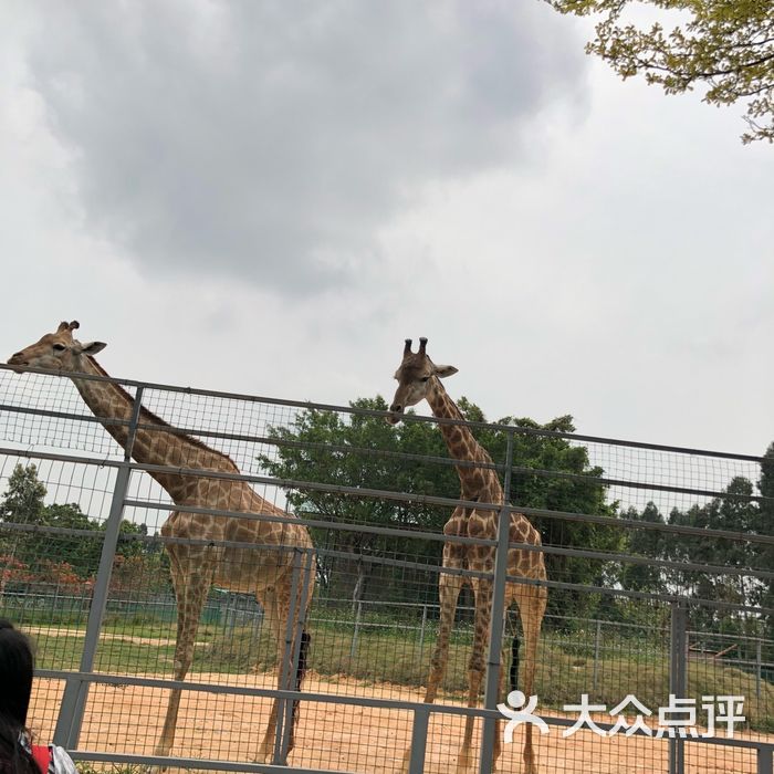 東莞香市動物園