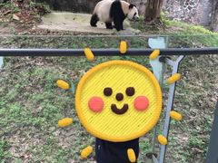 -都江堰中华大熊猫苑