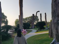 -南通洲际绿博园