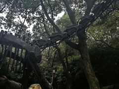 -杭州少年儿童公园