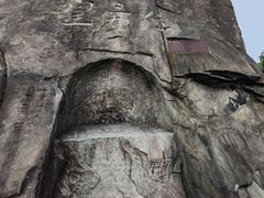 -南山植物园