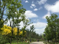 -东郊湿地公园