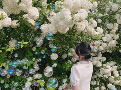 -漕湖湿地公园