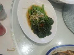 -海派美食·家宴海鲜青岛菜·石锅鲽鱼头(东方城店)