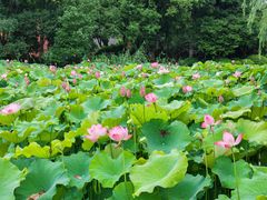 -丝绸小镇荻港古村