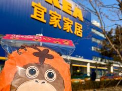 -宜家家居(四元桥商场店)