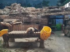 -石家庄市动物园