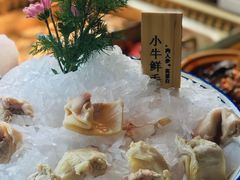 -九鼎轩脆毛肚火锅(三钢里店)