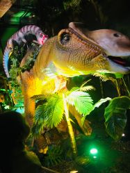 -恐龙探索乐园(磁器口店)