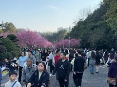 -阿哈湖国家湿地公园