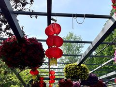 -东平国家森林公园