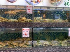 -宝燕壹号(徐汇店)