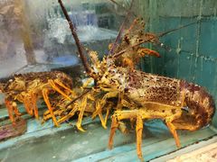 -海逸海鲜酒家(古北店)