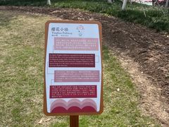 -径山花海
