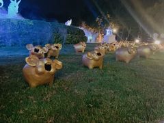 -清迈夜间动物园