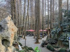-杭州植物园