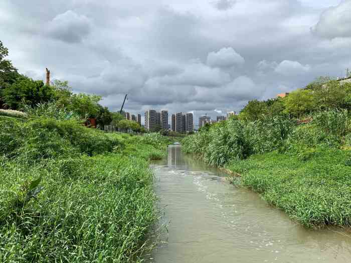 九祥岭湿地公园-"越来越喜欢西丽了,偶然来到这边,一年时间.