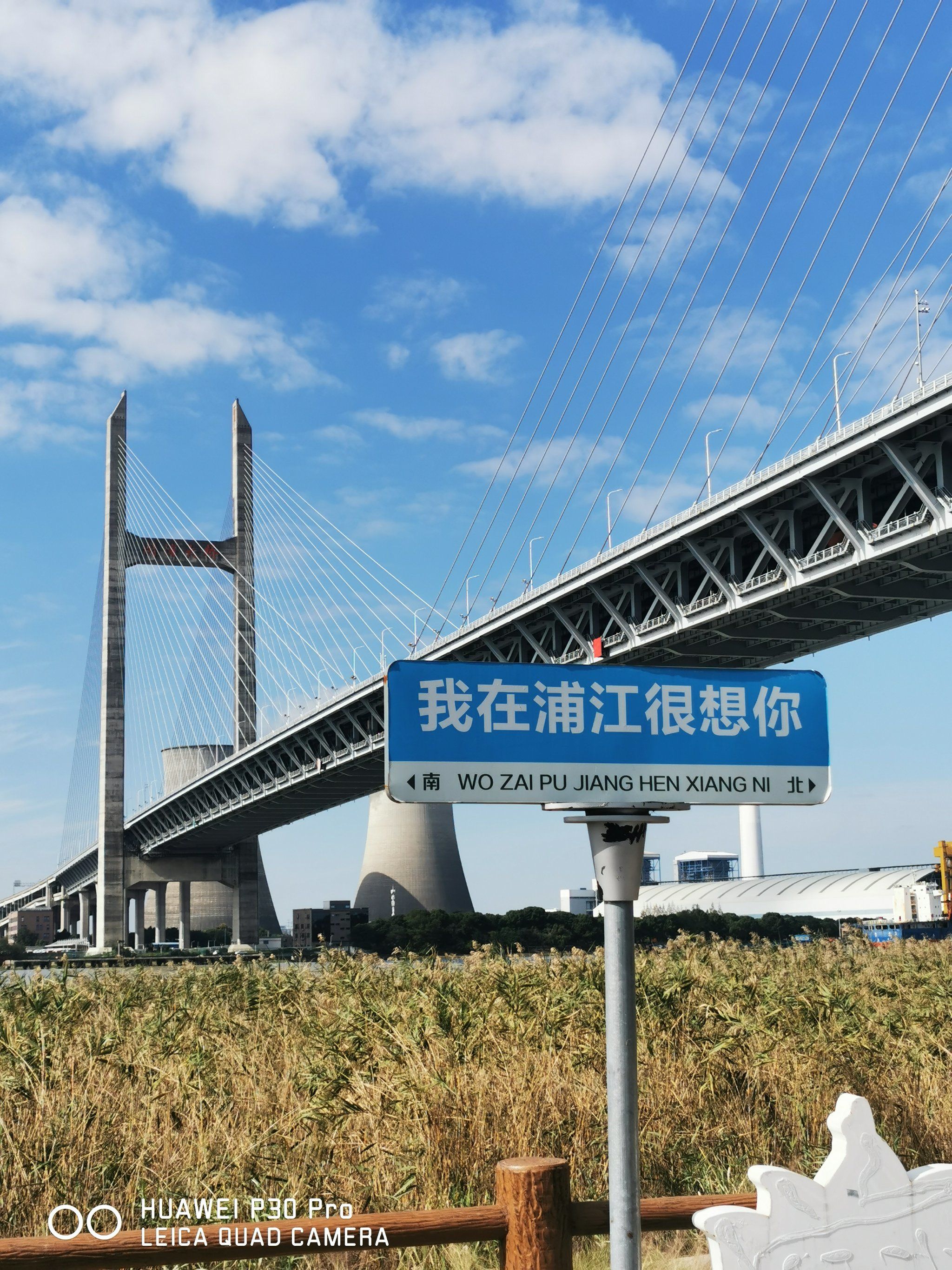 浦江镇岸边风光