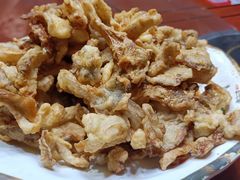 -草根堂农场