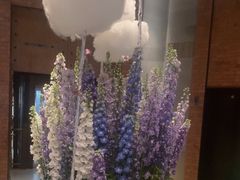 -浅深Cheersum(曹杨店)