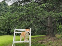 -上海滨江森林公园